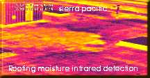 infrared_roofing_inspection.jpg (5704 bytes)